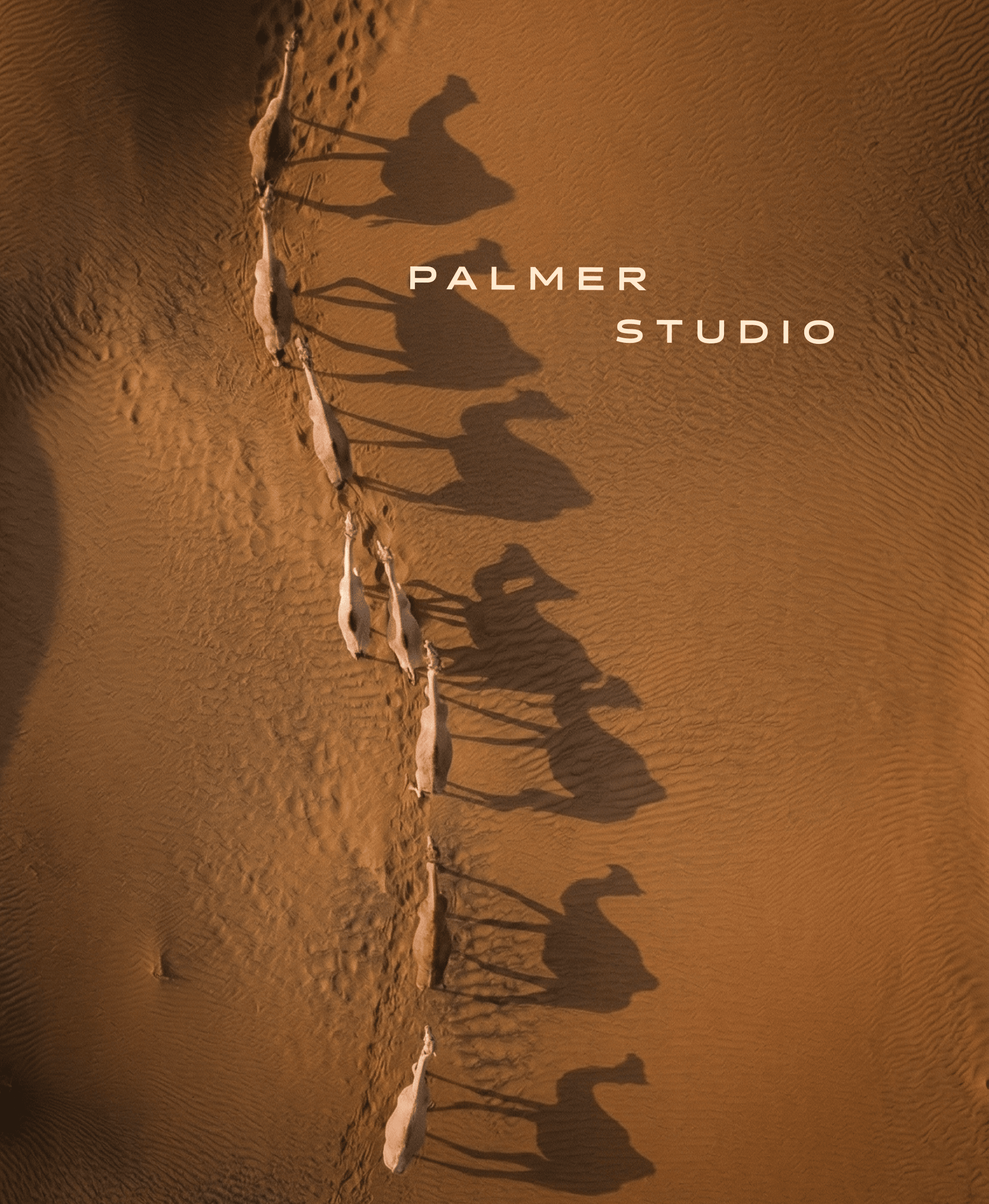 Aerial view of a camel caravan crossing rippled sand dunes at sunset