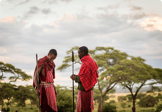 Maasai Mara landscape at golden hour